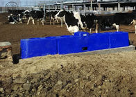 LLDPE Thermo Automatic Water Trough For Cattle / Pig 6M Anti Frost Free 40L - 80L