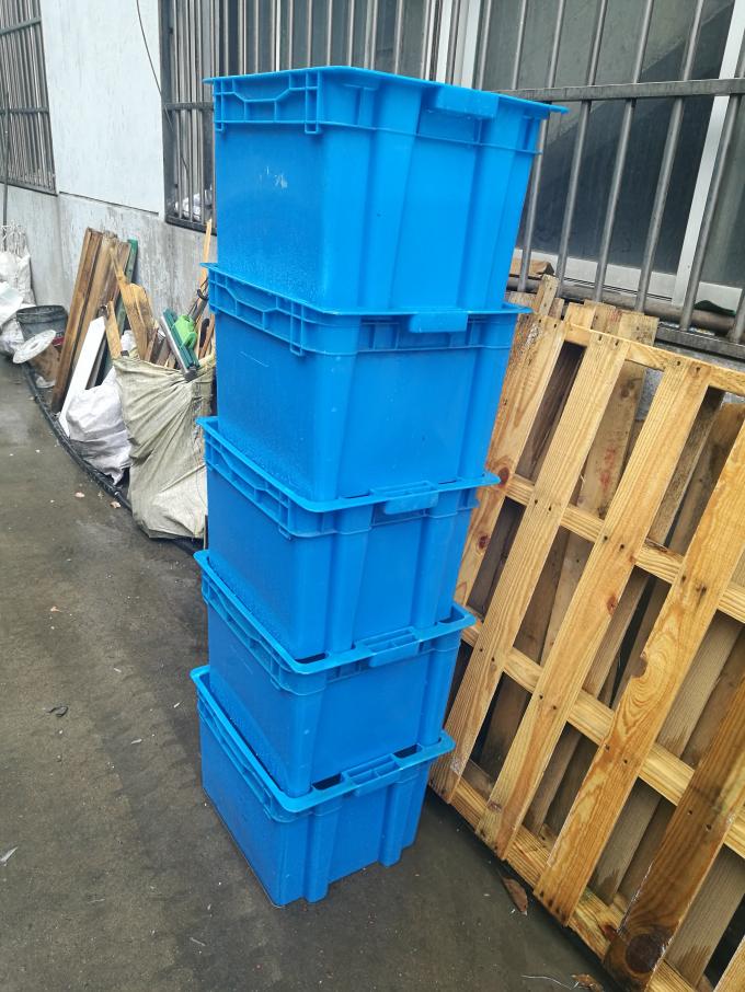 Aquaculture Collapsible Plastic Crate ，Plastic Fish Bins With Solid