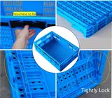 PP Utility Distribution Collapsible Plastic Folding Crate For Supermarket / Home Storage
