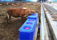 Contiuous Flow Automatic Plastic Cattle Drinking Troughs For Drinking Trough Rotomolding